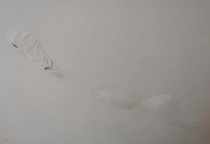 墙皮受潮起鼓脱落处置惩罚要领-墙面保养事情技巧